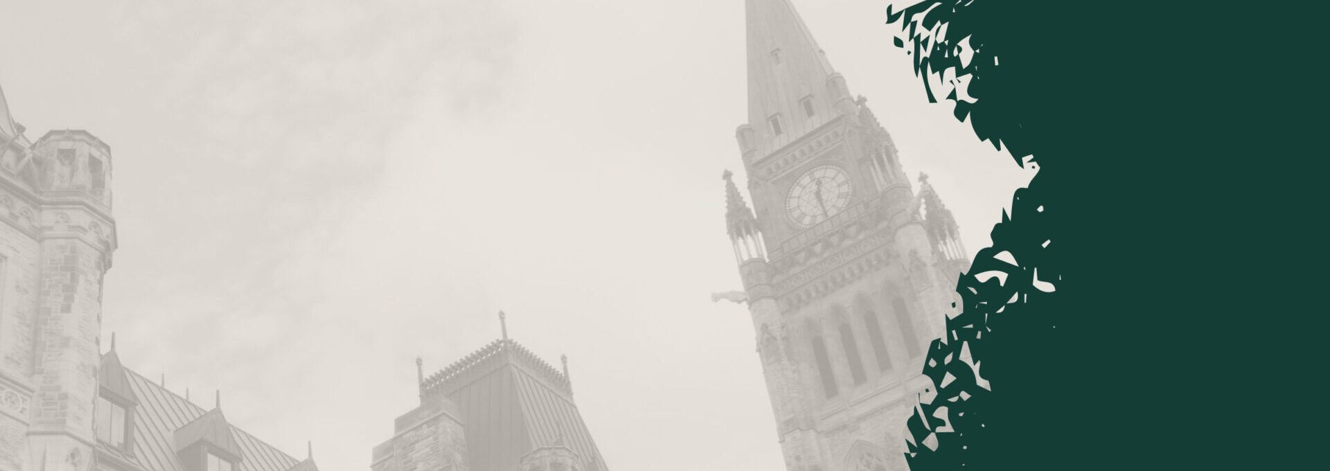Ottawa Banner