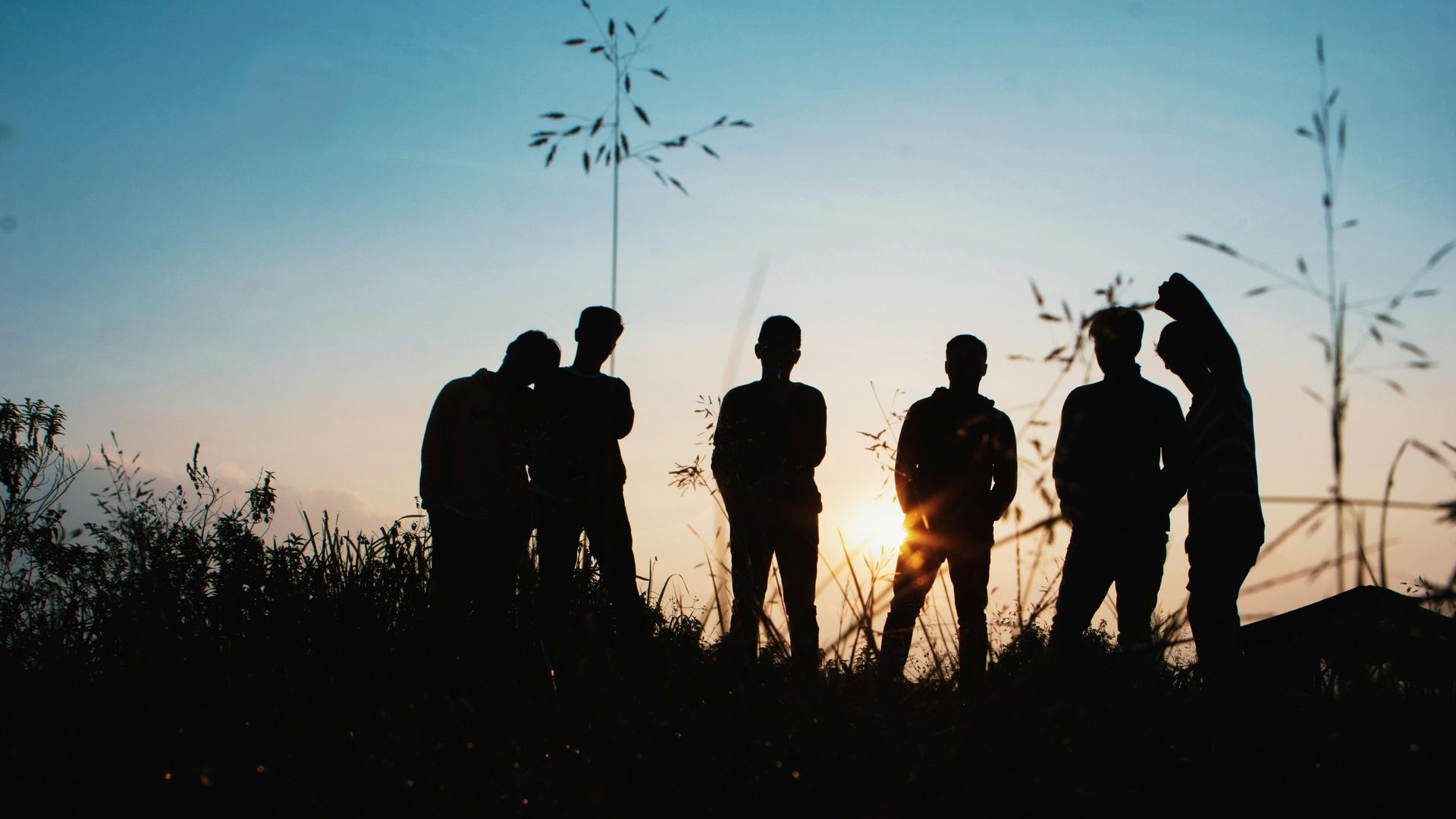 Silhouette of people in a field